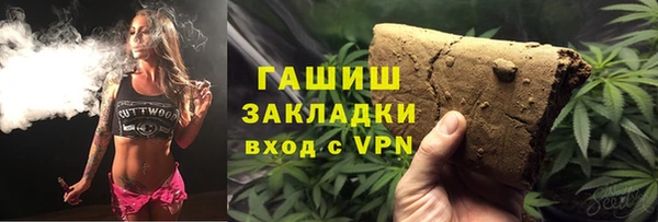 индика Алзамай