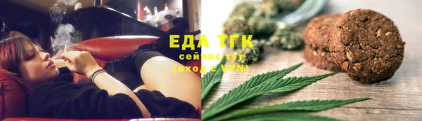 индика Алзамай