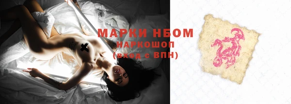 индика Алзамай