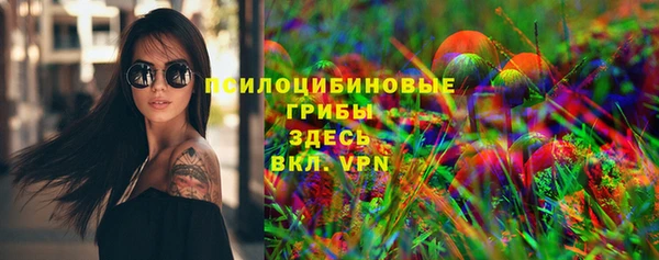 эйфоретик Алексин